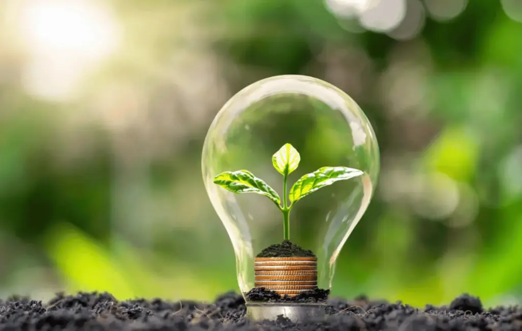 cambio compañia de luz