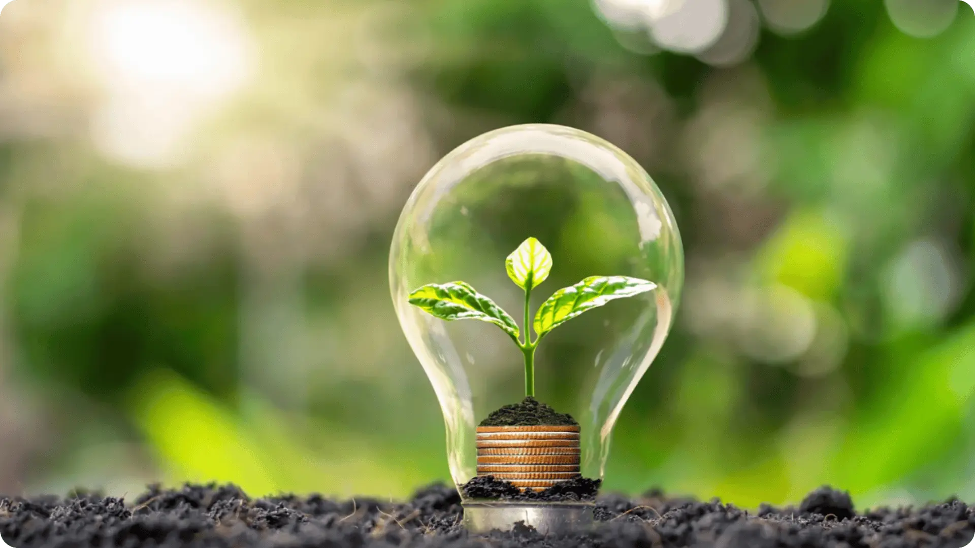 cambio compañia de luz